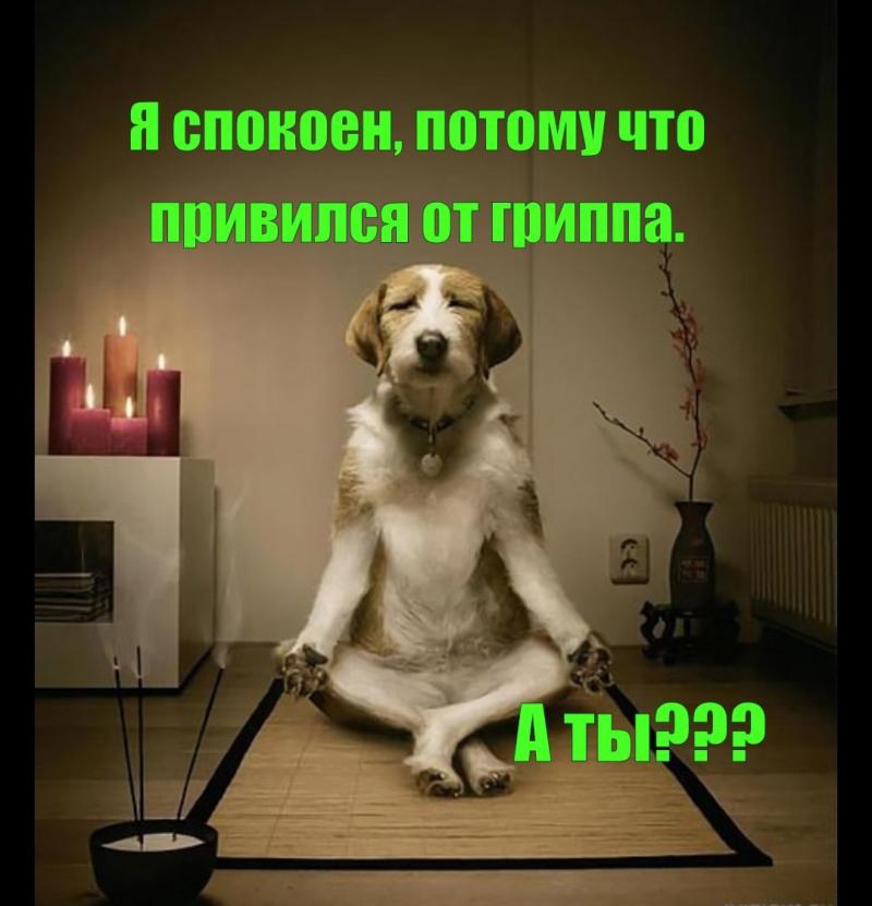 Сама себе хозяйка дзен видео изображение 74